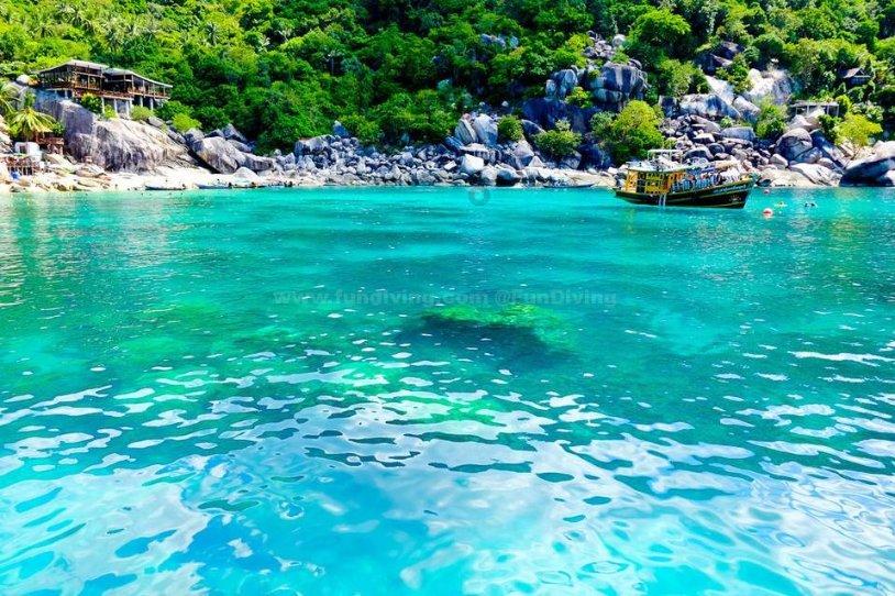 中国象棋速测吧